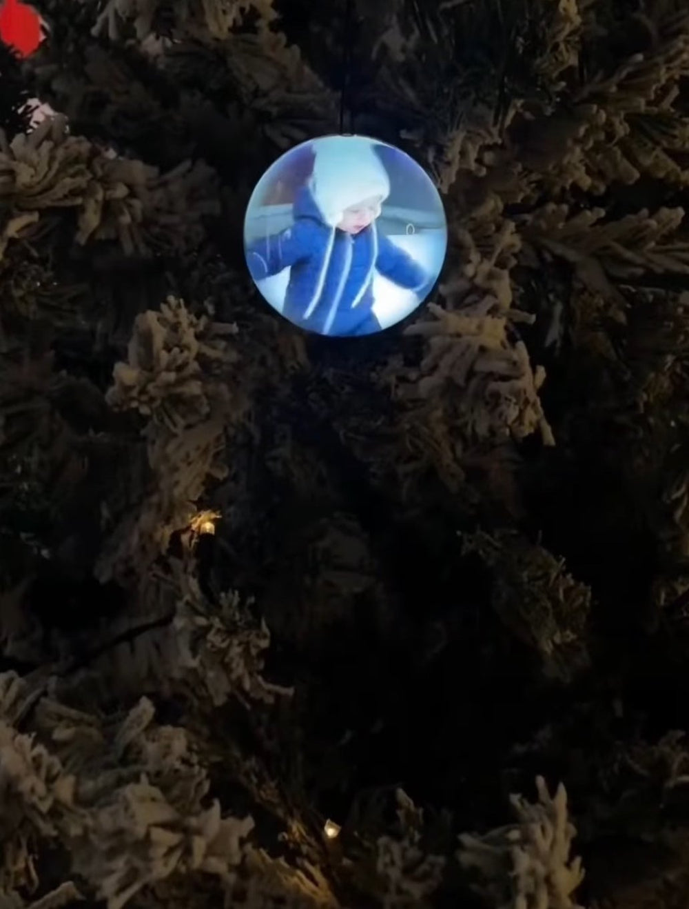 Noel Orb hanging on a snowy tree